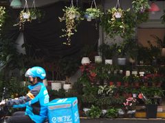 -溪岸路花鸟市场