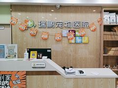 -瑞鹏宠物医院犬猫全科(真大分院)