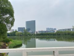 -大兴滨河森林公园