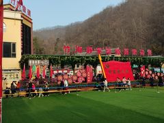 -栾川竹海野生动物园