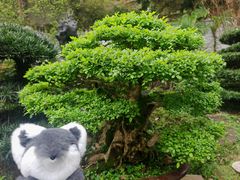 -南山植物园