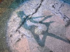 -彭记口口香(太仓万达广场店)