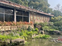 -中国茶叶博物馆(双峰馆区)