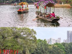 -荔湾湖公园