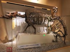 -国家自然博物馆