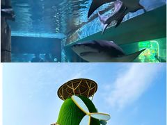 -沈阳海洋探索中心