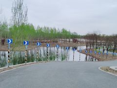 -东郊湿地公园