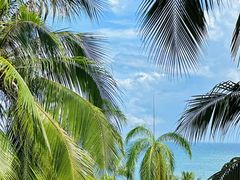 -三亚南山文化旅游区