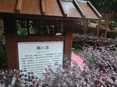 -南京汤山紫清湖生态旅游温泉度假区