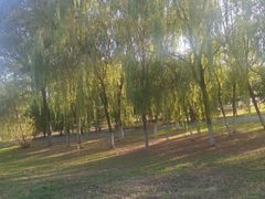 -丁香湖公园