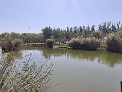 -西青郊野公园