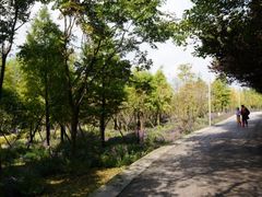 -贵阳市花溪国家城市湿地公园