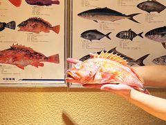 -镹·鱼料理  国产鱼使用店