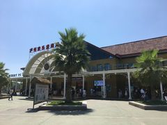 -泸州欢乐派海滩公园