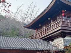 -千年银杏谷文化旅游区