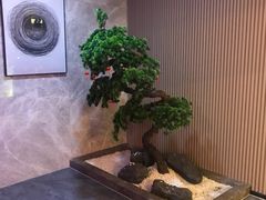 -尚荟汤泉生活馆