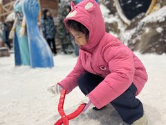 -世界之窗阿尔卑斯冰雪世界