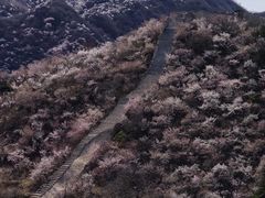 -龙泉峪长城