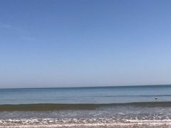 -渡海小渔村.老辈日照菜