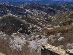 -蟠龙山长城景区