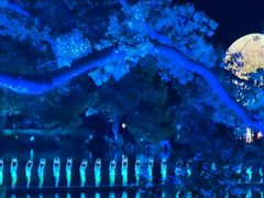 -印象西湖·最忆是杭州实景演出