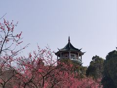 -无锡梅园公园