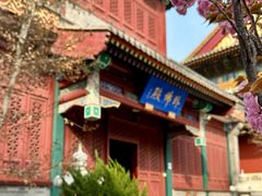 -天津大悲禅院