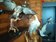 -南京金牛湖风景区