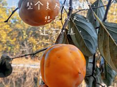 -碓臼峪自然风景区