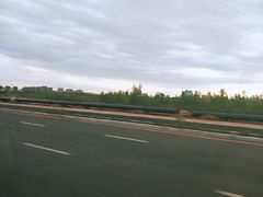 -蒲河岛湿地公园