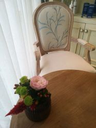 -海茱雅科技健康美容