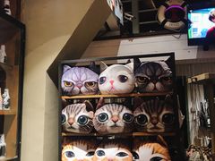 -猫咪博物馆(顶澳仔猫街店)