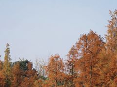 -白鹭湾湿地公园