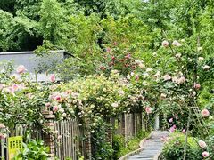 -成都中医药大学(温江校区)