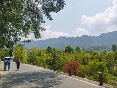 -黟县屏山村