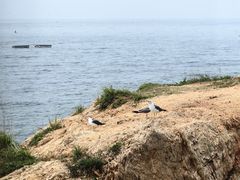 -石槽海滨浴场