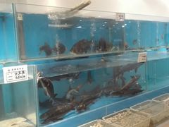 -六顺园清真回族饭店(工程街店)