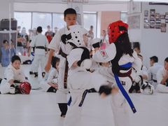 -极真空手道修远道场