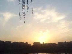 -天宇菲尔德·花园西餐厅·海鲜自助餐