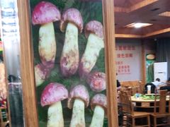 -东巴谷野生菌火锅餐厅