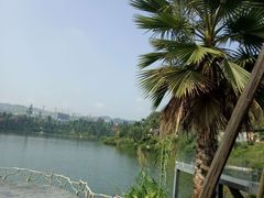 -枫香湖儿童公园