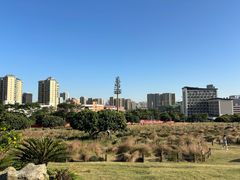 -红花山公园