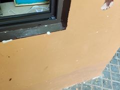 -猫岛主趣味餐厅(鼓浪屿店)