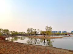 -大兴滨河森林公园