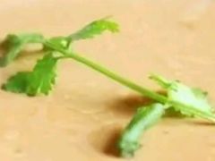 -宝盛水博园大酒店·中餐厅·杭帮菜