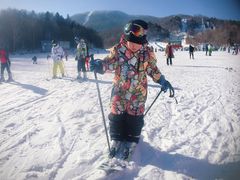 -亚布力新体委滑雪场