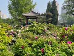 -迎泽公园