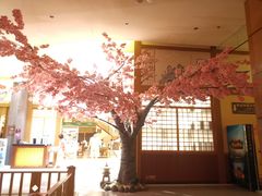 -大江户·温泉洗浴(浑南店)