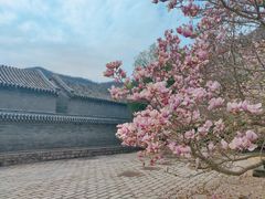 -居庸关长城