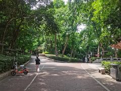 -北极阁公园